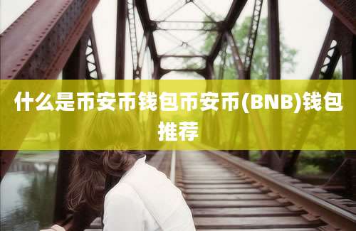 什么是币安币钱包币安币(BNB)钱包推荐