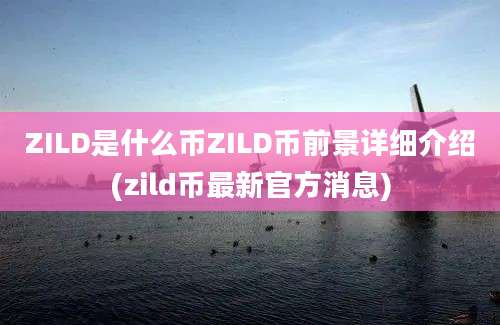 ZILD是什么币ZILD币前景详细介绍(zild币最新官方消息)