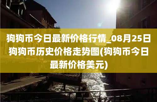 狗狗币今日最新价格行情_08月25日狗狗币历史价格走势图(狗狗币今日最新价格美元)