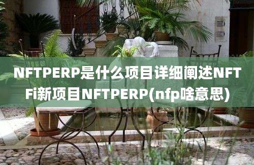 NFTPERP是什么项目详细阐述NFTFi新项目NFTPERP(nfp啥意思)