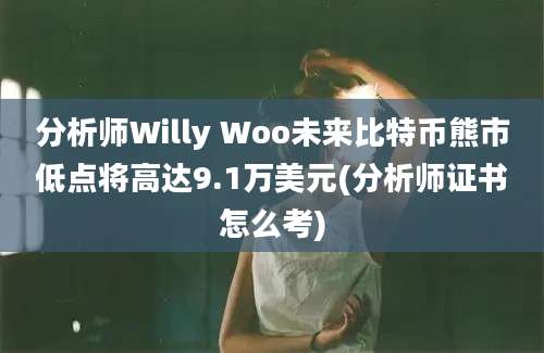 分析师Willy Woo未来比特币熊市低点将高达9.1万美元(分析师证书怎么考)