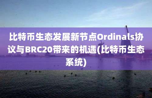 比特币生态发展新节点Ordinals协议与BRC20带来的机遇(比特币生态系统)