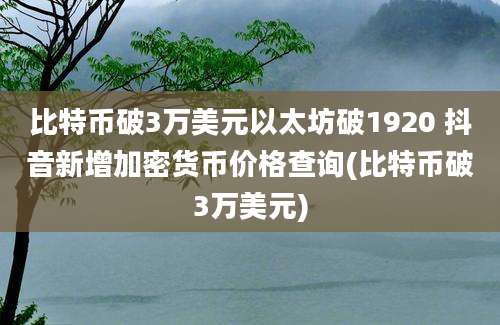 比特币破3万美元以太坊破1920 抖音新增加密货币价格查询(比特币破3万美元)