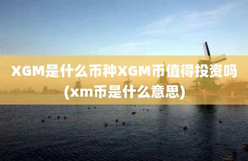 XGM是什么币种XGM币值得投资吗(xm币是什么意思)