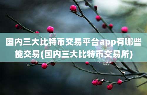 国内三大比特币交易平台app有哪些能交易(国内三大比特币交易所)