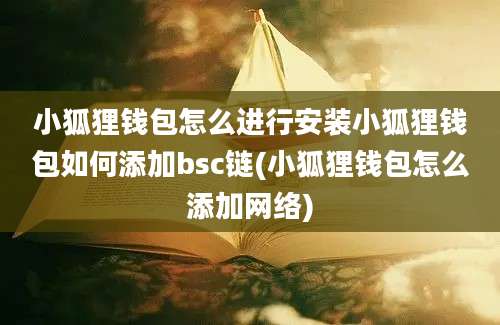 小狐狸钱包怎么进行安装小狐狸钱包如何添加bsc链(小狐狸钱包怎么添加网络)