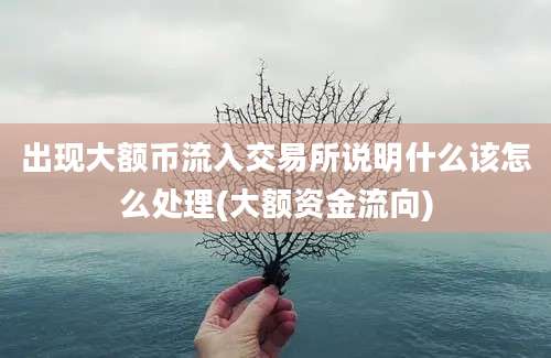 出现大额币流入交易所说明什么该怎么处理(大额资金流向)