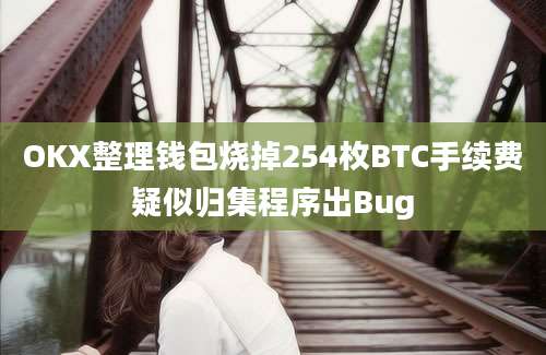 OKX整理钱包烧掉254枚BTC手续费疑似归集程序出Bug