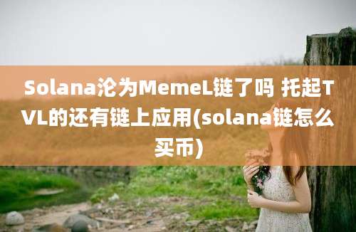 Solana沦为MemeL链了吗 托起TVL的还有链上应用(solana链怎么买币)