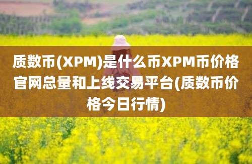 质数币(XPM)是什么币XPM币价格官网总量和上线交易平台(质数币价格今日行情)