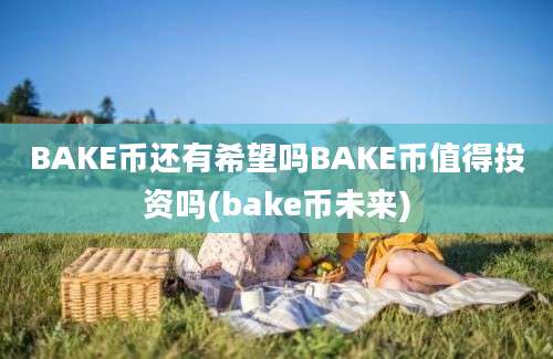 BAKE币还有希望吗BAKE币值得投资吗(bake币未来)