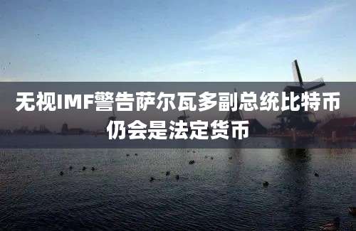 无视IMF警告萨尔瓦多副总统比特币仍会是法定货币