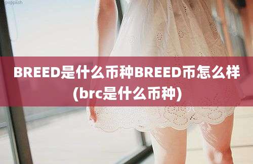 BREED是什么币种BREED币怎么样(brc是什么币种)