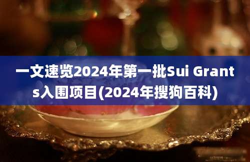 一文速览2024年第一批Sui Grants入围项目(2024年搜狗百科)