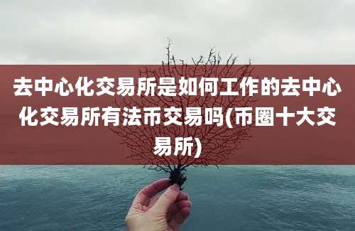 去中心化交易所是如何工作的去中心化交易所有法币交易吗(币圈十大交易所)