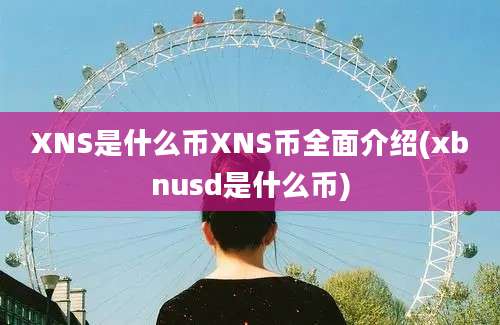 XNS是什么币XNS币全面介绍(xbnusd是什么币)