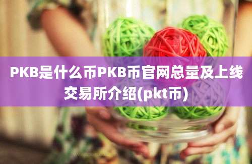 PKB是什么币PKB币官网总量及上线交易所介绍(pkt币)