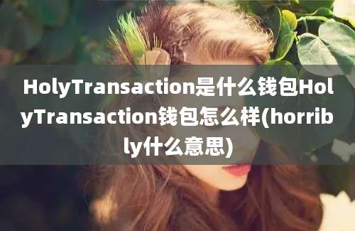 HolyTransaction是什么钱包HolyTransaction钱包怎么样(horribly什么意思)