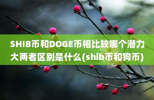 SHIB币和DOGE币相比较哪个潜力大两者区别是什么(shib币和狗币)