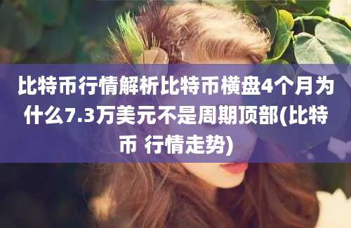 比特币行情解析比特币横盘4个月为什么7.3万美元不是周期顶部(比特币 行情走势)