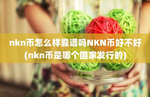 nkn币怎么样靠谱吗NKN币好不好(nkn币是哪个国家发行的)