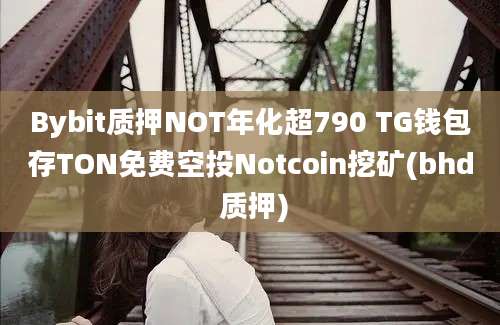 Bybit质押NOT年化超790 TG钱包存TON免费空投Notcoin挖矿(bhd 质押)