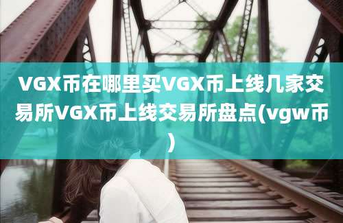 VGX币在哪里买VGX币上线几家交易所VGX币上线交易所盘点(vgw币)