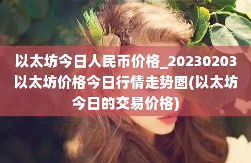 以太坊今日人民币价格_20230203以太坊价格今日行情走势图(以太坊今日的交易价格)