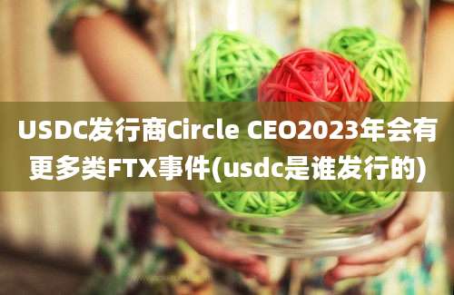 USDC发行商Circle CEO2023年会有更多类FTX事件(usdc是谁发行的)