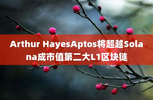 Arthur HayesAptos将超越Solana成市值第二大L1区块链