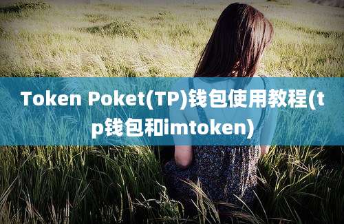 Token Poket(TP)钱包使用教程(tp钱包和imtoken)