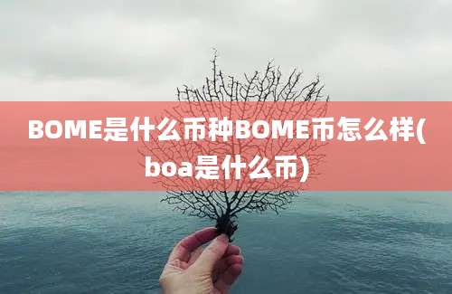 BOME是什么币种BOME币怎么样(boa是什么币)