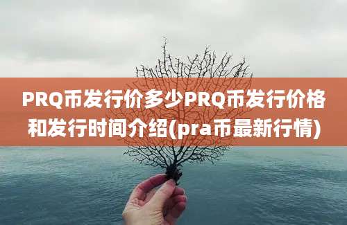 PRQ币发行价多少PRQ币发行价格和发行时间介绍(pra币最新行情)