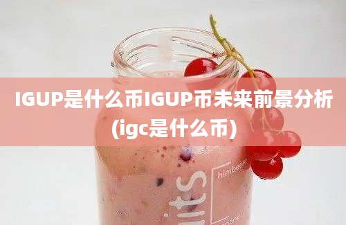 IGUP是什么币IGUP币未来前景分析(igc是什么币)