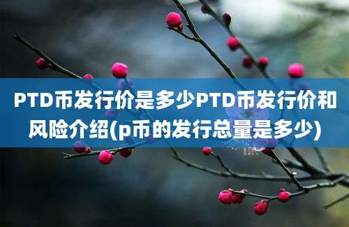 PTD币发行价是多少PTD币发行价和风险介绍(p币的发行总量是多少)