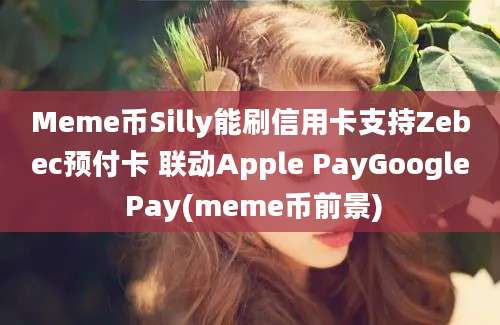 Meme币Silly能刷信用卡支持Zebec预付卡 联动Apple PayGoogle Pay(meme币前景)