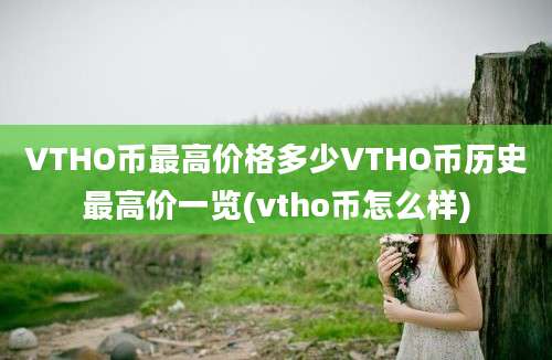 VTHO币最高价格多少VTHO币历史最高价一览(vtho币怎么样)