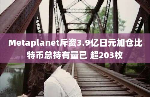 Metaplanet斥资3.9亿日元加仓比特币总持有量已 超203枚