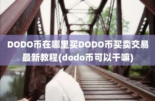 DODO币在哪里买DODO币买卖交易最新教程(dodo币可以干嘛)