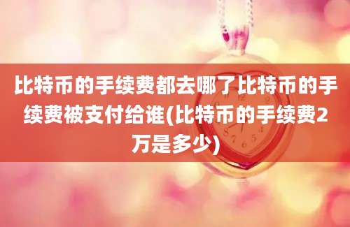 比特币的手续费都去哪了比特币的手续费被支付给谁(比特币的手续费2万是多少)