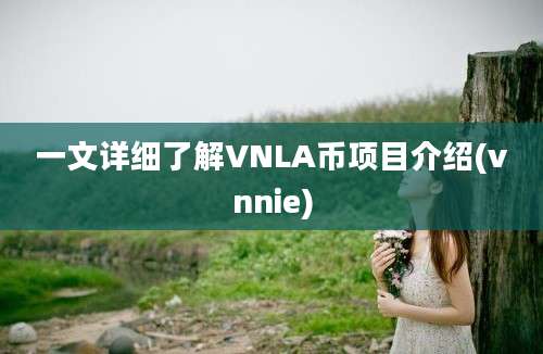 一文详细了解VNLA币项目介绍(vnnie)