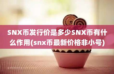 SNX币发行价是多少SNX币有什么作用(snx币最新价格非小号)