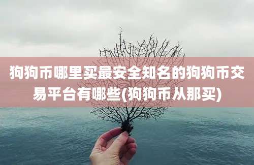 狗狗币哪里买最安全知名的狗狗币交易平台有哪些(狗狗币从那买)