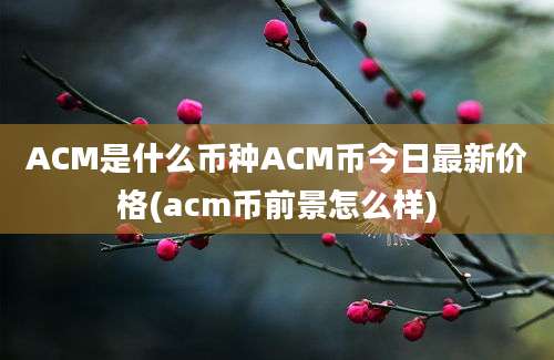 ACM是什么币种ACM币今日最新价格(acm币前景怎么样)