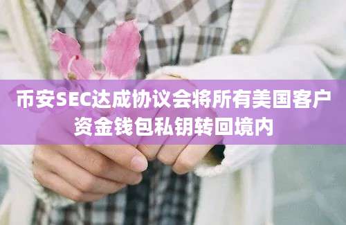 币安SEC达成协议会将所有美国客户资金钱包私钥转回境内