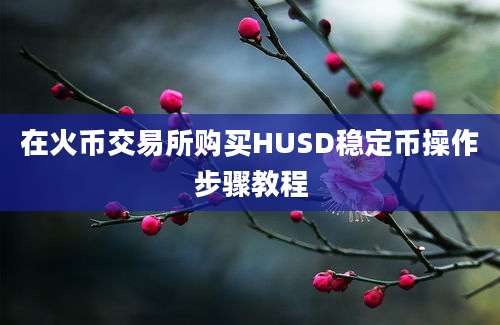 在火币交易所购买HUSD稳定币操作步骤教程