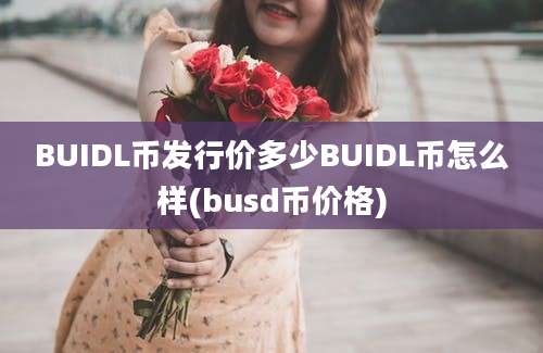 BUIDL币发行价多少BUIDL币怎么样(busd币价格)