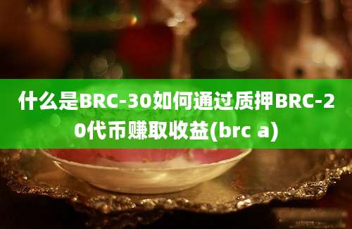 什么是BRC-30如何通过质押BRC-20代币赚取收益(brc a)