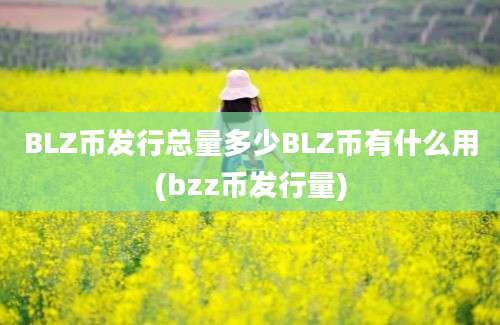 BLZ币发行总量多少BLZ币有什么用(bzz币发行量)