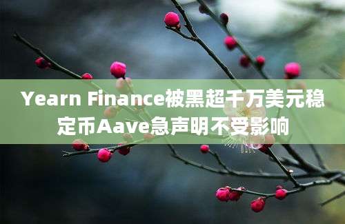 Yearn Finance被黑超千万美元稳定币Aave急声明不受影响